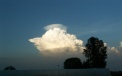 A storm is building over the garden 