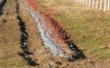 Artificial bedding is used (non-woven fabric) on some plantations 