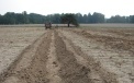 The typical size of the furrows is 50cm(20”) wide and 30cm(12”) deep