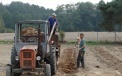 The furrows are filled with sawdust, bark, chips, peat, etc.