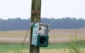 Electronic scarecrow emits sounds that frighten birds 